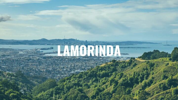 Logo for Lamorinda City Group - Lamorinda