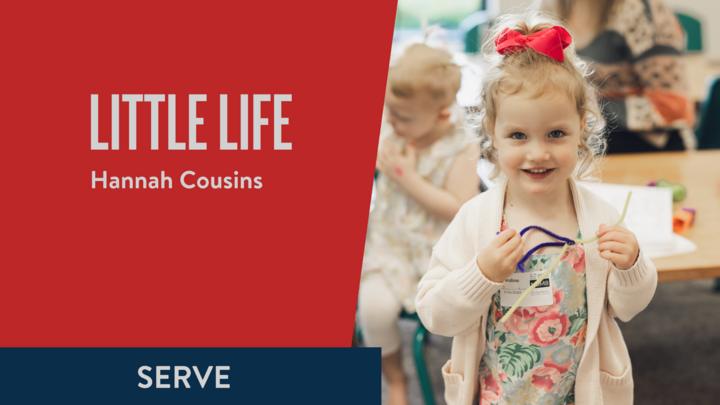 Logo for FSM Little Life