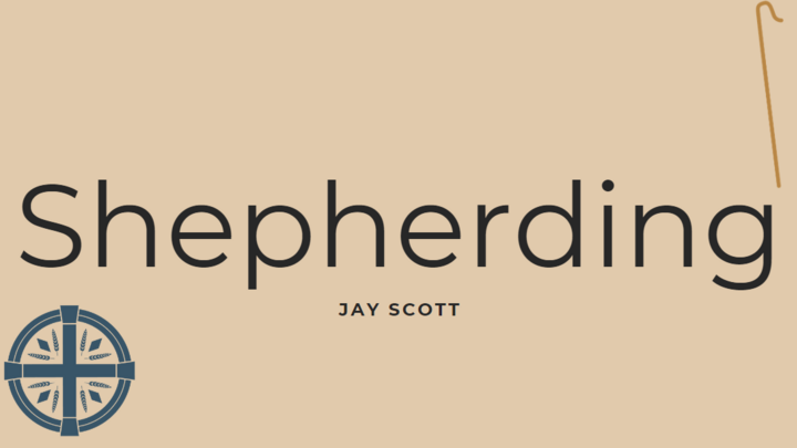 Logo for Shepherding Group - Jay Scott