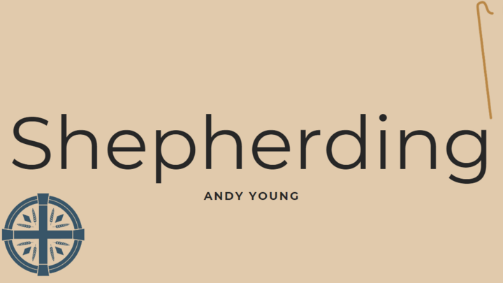 Logo for Shepherding Group - Andy Young