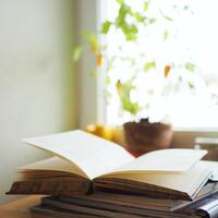 Logo for Dinner & a Book