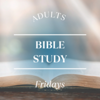 Logo for Adults Group