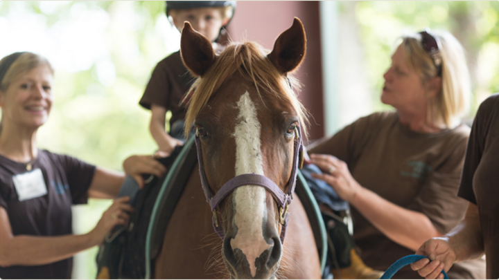 Logo for Henry's Home Horse Sanctuary