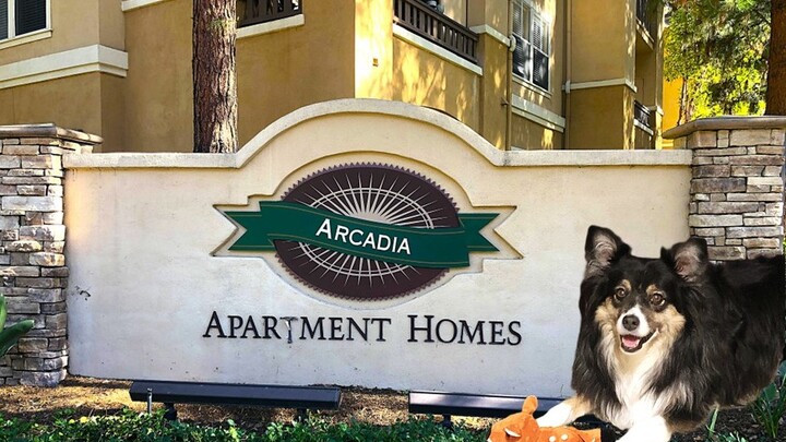 Logo for Serra Mesa-Arcadia House Church