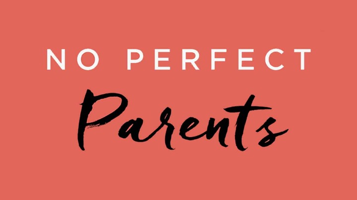 Logo for No Perfect Parents - Newborn and Toddler Parents Fellowship and Support Group