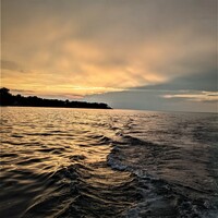 Logo for Camerican Boomers