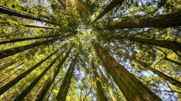 Logo for Presbytery Associates