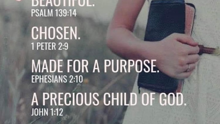 Logo for [Women] Tuesday Morning Study