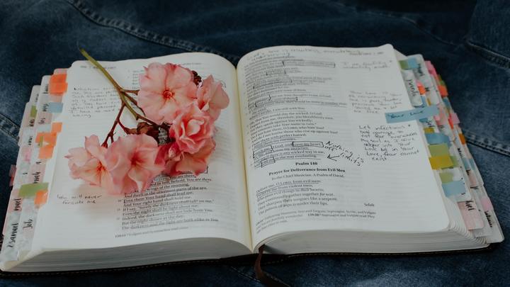 Logo for Gems of Wisdom