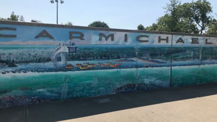 Logo for West Carmichael