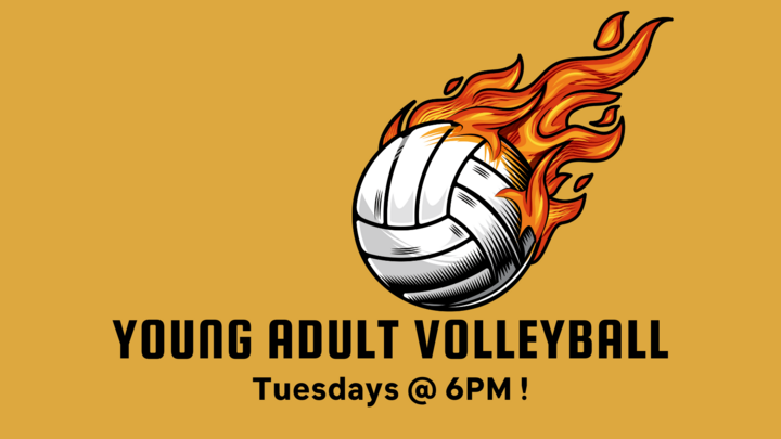 Logo for Young Adult Volleyball