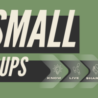 Logo for DeBord's Small Group