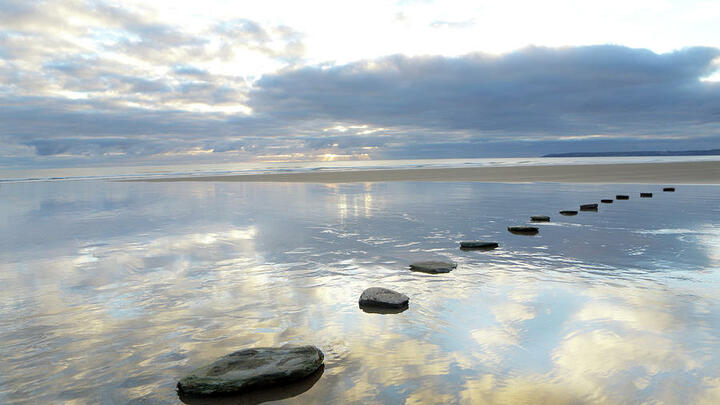 Logo for Stepping Stones