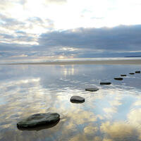 Logo for Stepping Stones