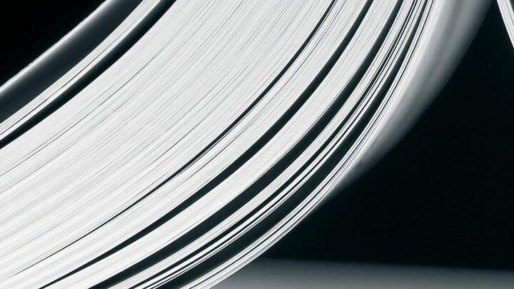 Logo for Men's Study: WCF