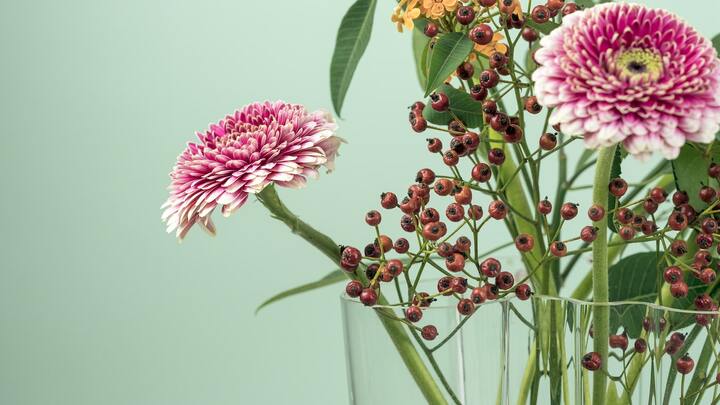 Logo for Union Cross Campus - Meal Train