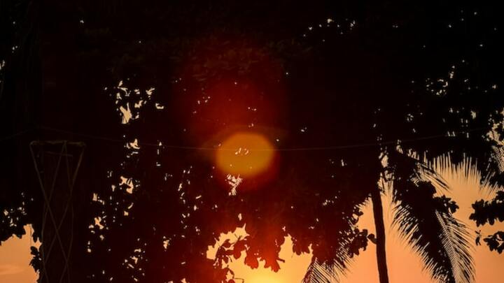 Logo for Sunday Evening- Courtright & Sasamori