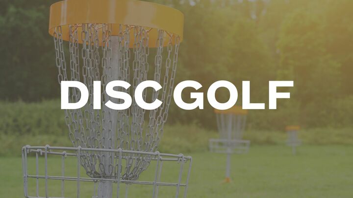 Logo for Disc Golf