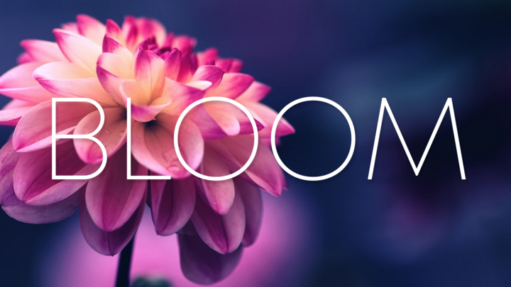 Logo for Bloom