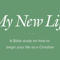 Logo for New Life Class-13 Classes (AKA 103)