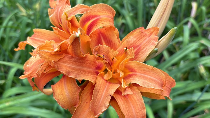 Logo for Creekwood Community Group