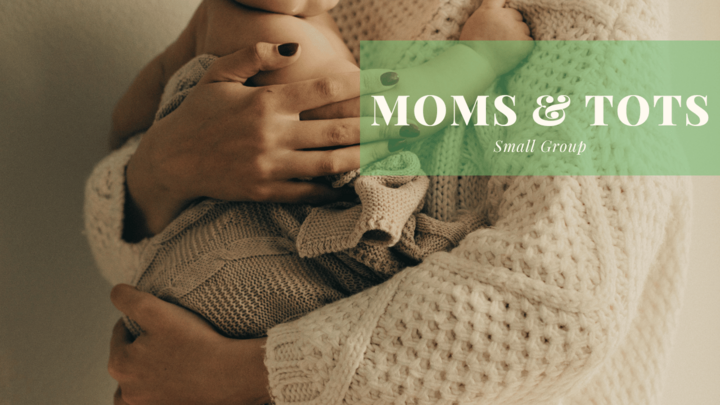 Logo for Moms and Tots