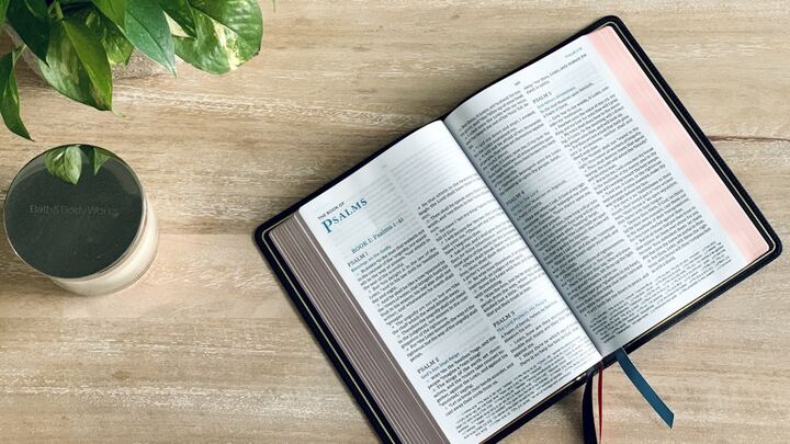 Logo for Women's Life Group - Arlene Calague