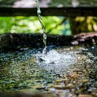 Logo for SINGLES MINISTRY