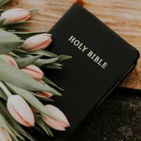 Logo for Saturday Morning Women's Bible Study in homes