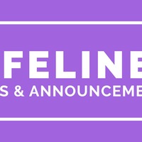 Logo for LifeLines