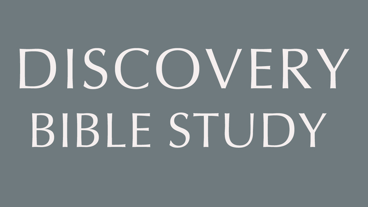 Logo for Discovery Bible Study