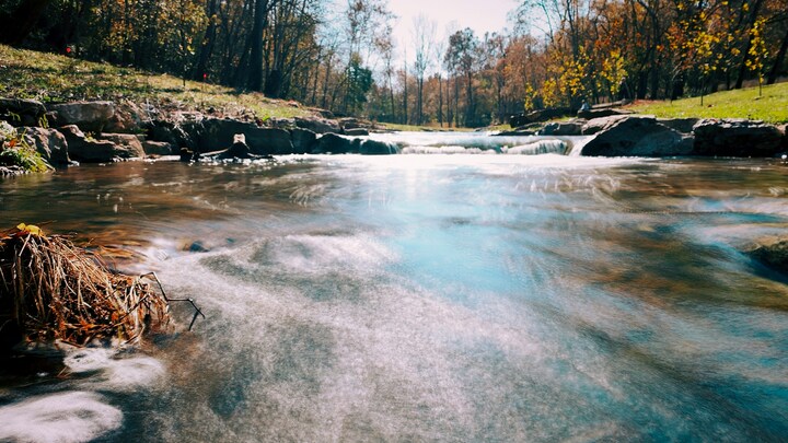 Logo for Living the Blessed Life