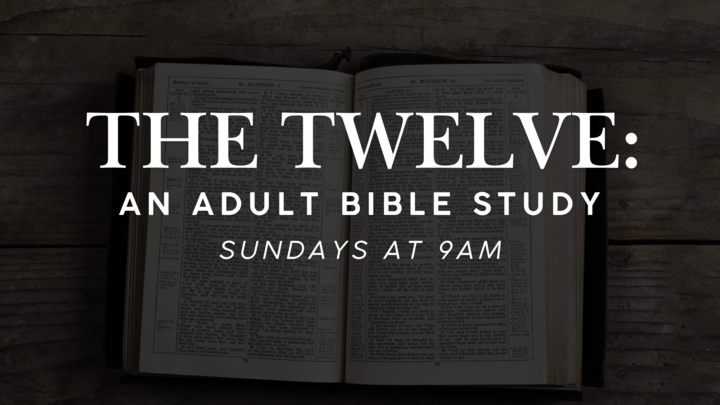 Logo for The Twelve - Adult Bible Study