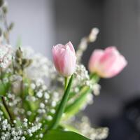 Logo for Friend Connection Widows Group