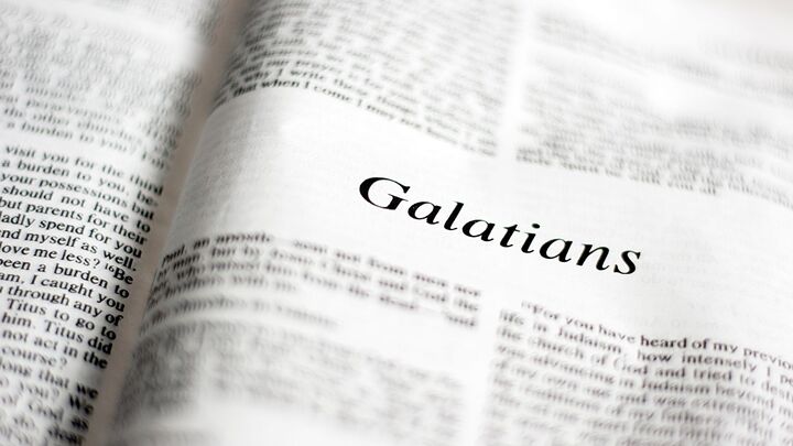 Logo for Fig Tree Generation - Galatians