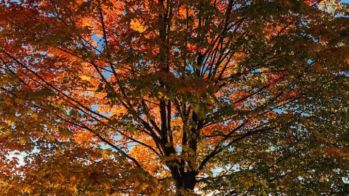 Logo for Trios de soutien