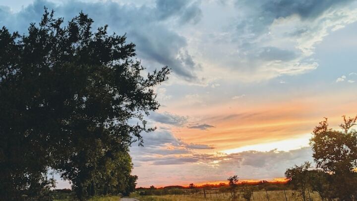 Logo for Texas - Brenham (halfway between Houston and Austin on 290)