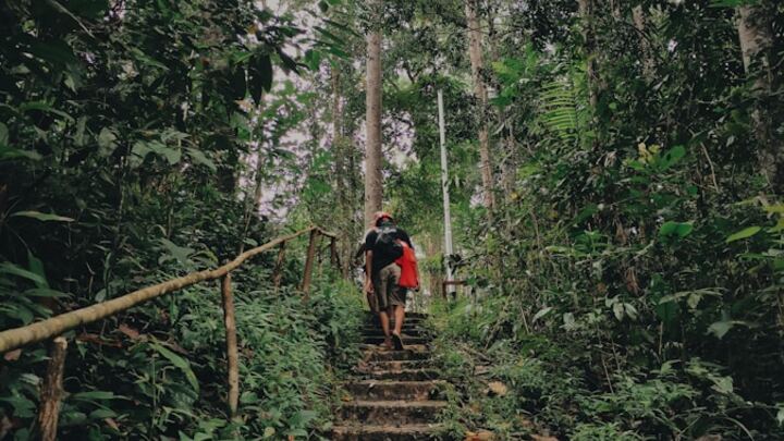 Logo for Wild at Heart by John Eldredge