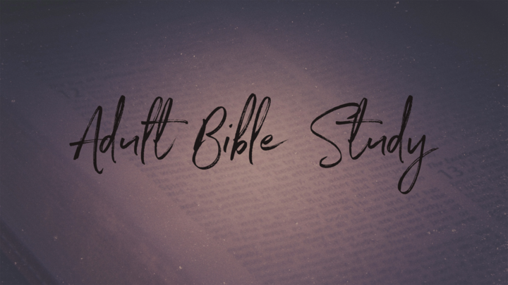 Logo for Sater Adult Life Group