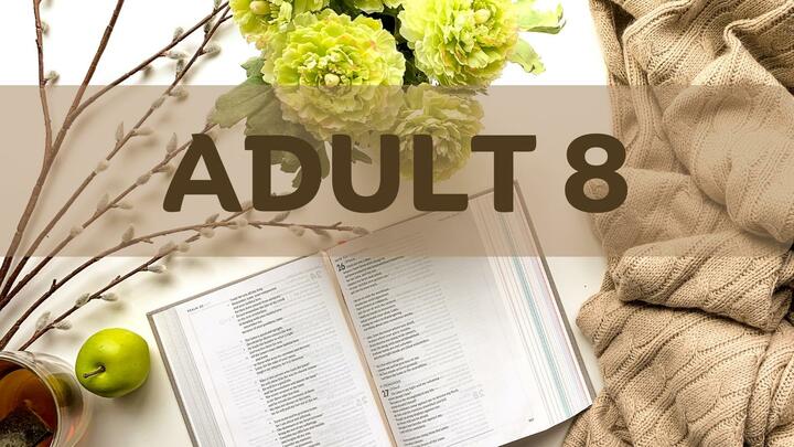 Logo for Adult 8