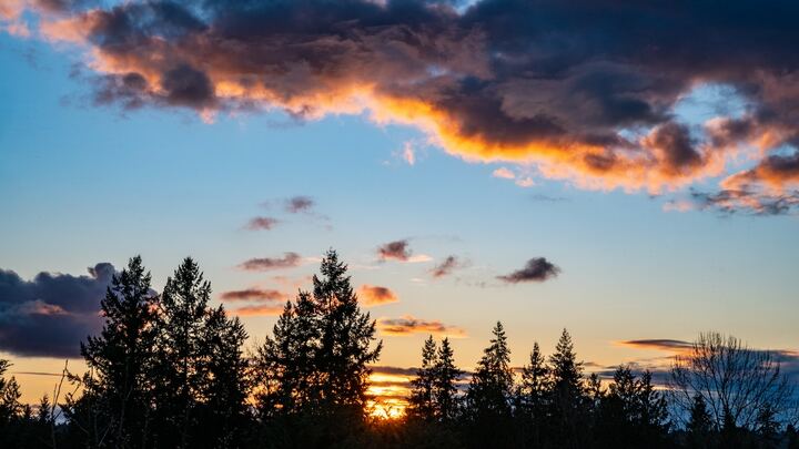 Logo for Washington - Redmond