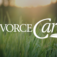 Logo for DivorceCare Group