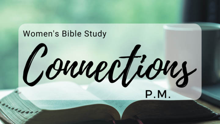 Logo for Connections - P.M.