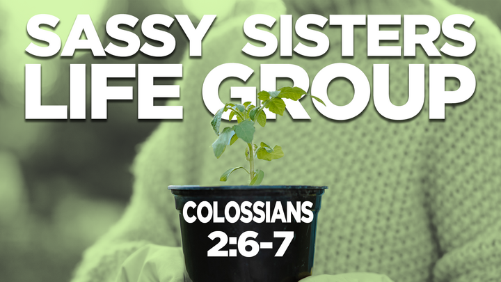 Logo for Sassy Sisters