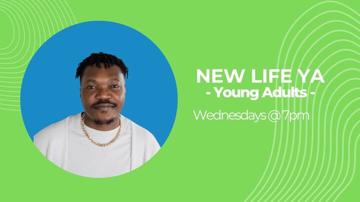 Logo for New Life YA
