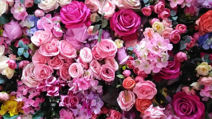 Logo for Sunday Morning Ladies' Small Group