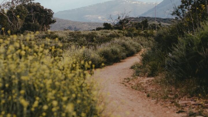 Logo for Rethwisch Community Group - Vista