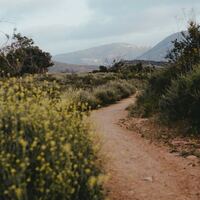 Logo for Rethwisch Community Group - Vista