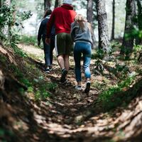 Logo for Married & Singles | 18+ | Hiking-Local Parks | Kuzenski