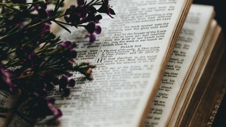 Logo for AD - Empty Nesters (60s)